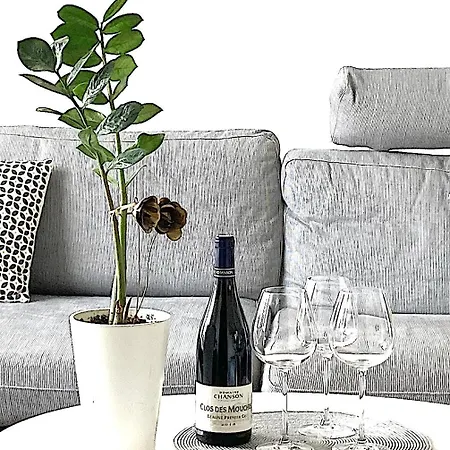 בית נופש Maison Centre Avec Jardin , Terrasse, Et Garage Velos לה רושל