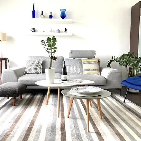 Maison Centre Avec Jardin , Terrasse, Et Garage Velos